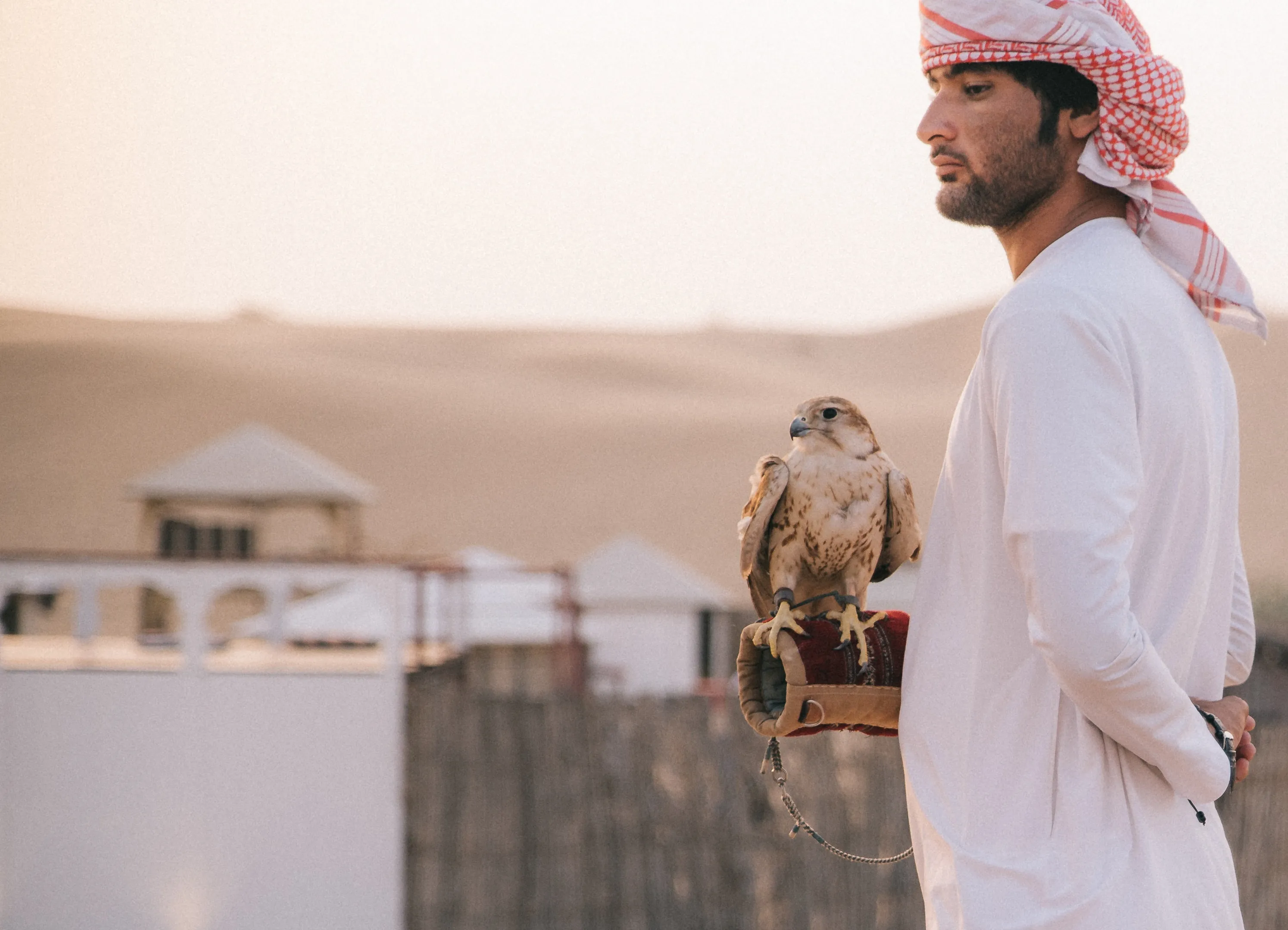 7701 dubai spa treatment