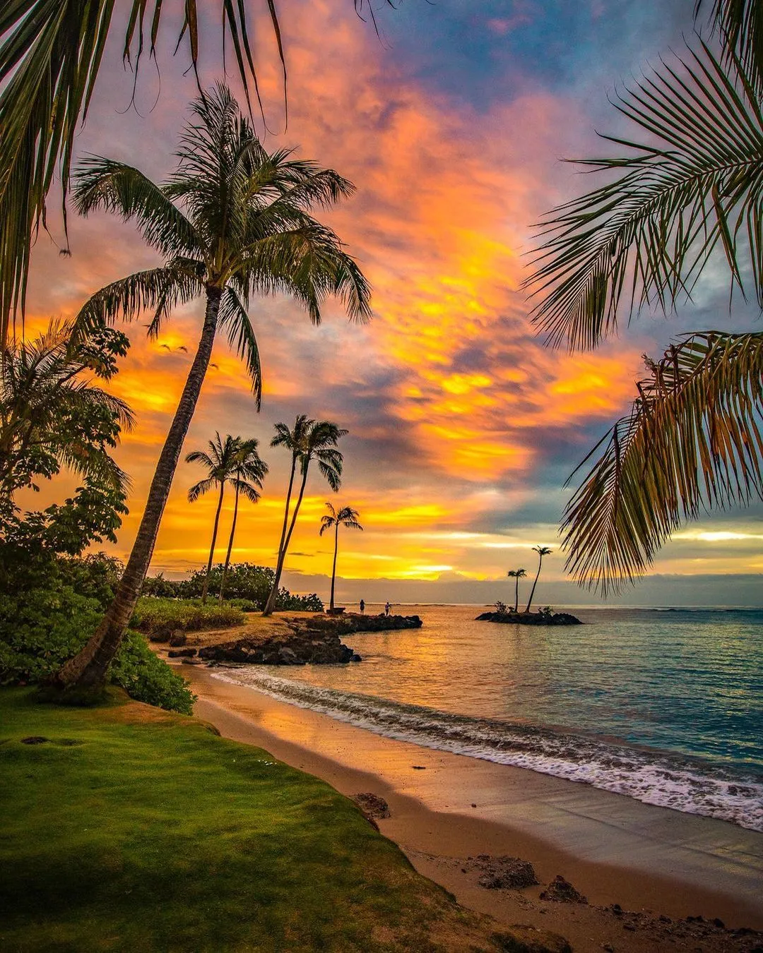 7705 maui honeymoon