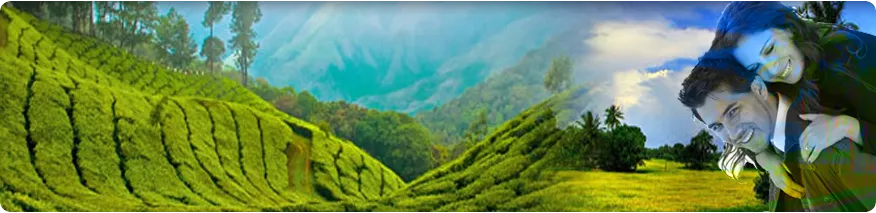7707 darjeeling honeymoon hotel