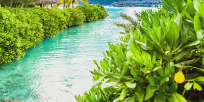 /img/7712-maui-honeymoon.webp