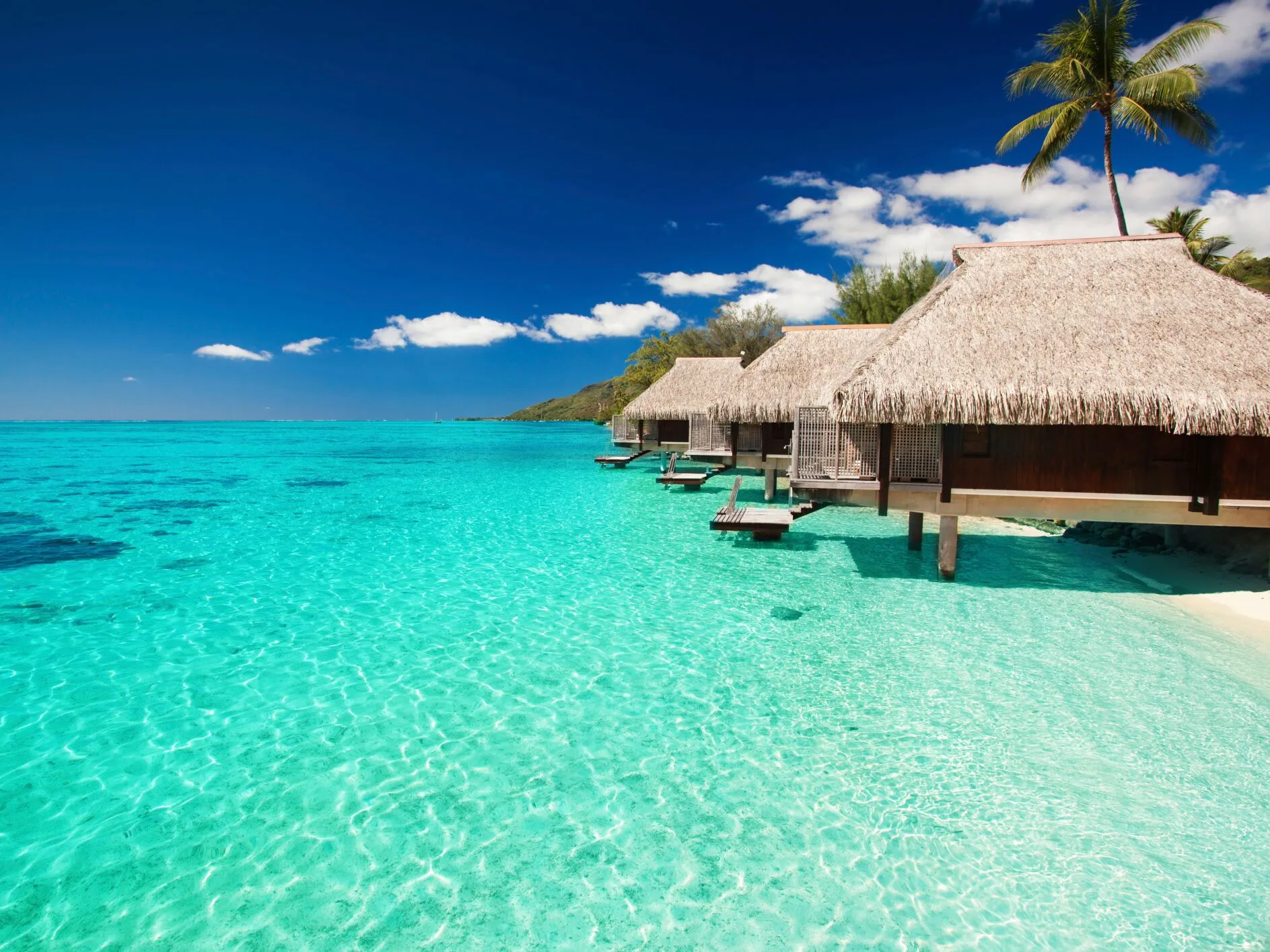 7716 seychelles beach