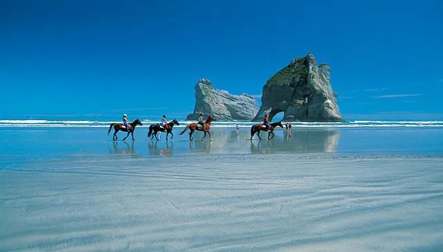 7725 luxury honeymoon package