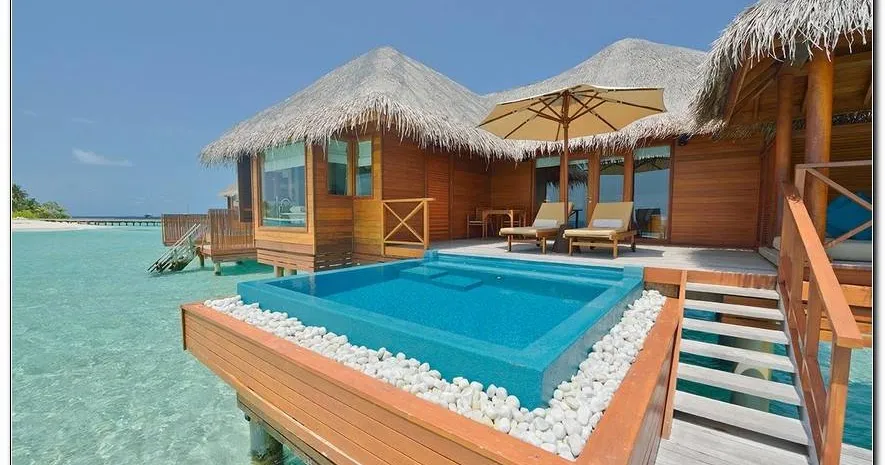 /img/7728-maui-honeymoon-activities.webp