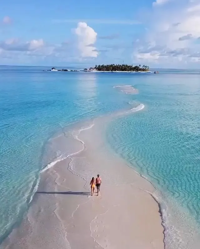 7732 maldives honeymoon couple snorkeling