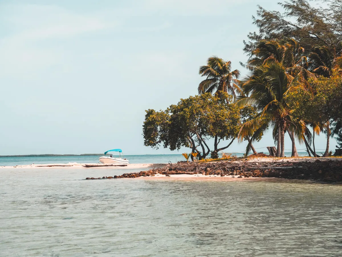 7739 adventure honeymoon