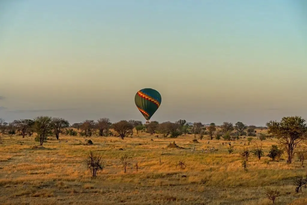 7761 botswana safari