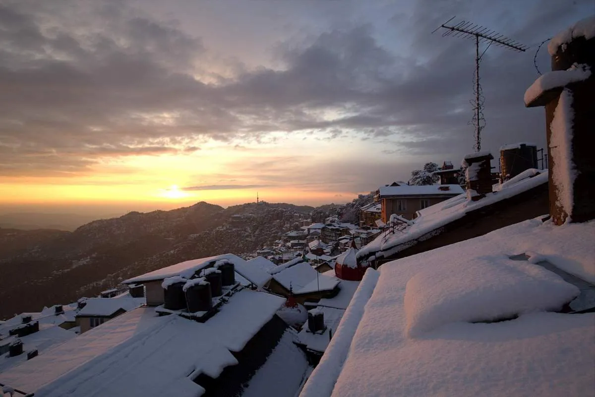 7763 shimla honeymoon view