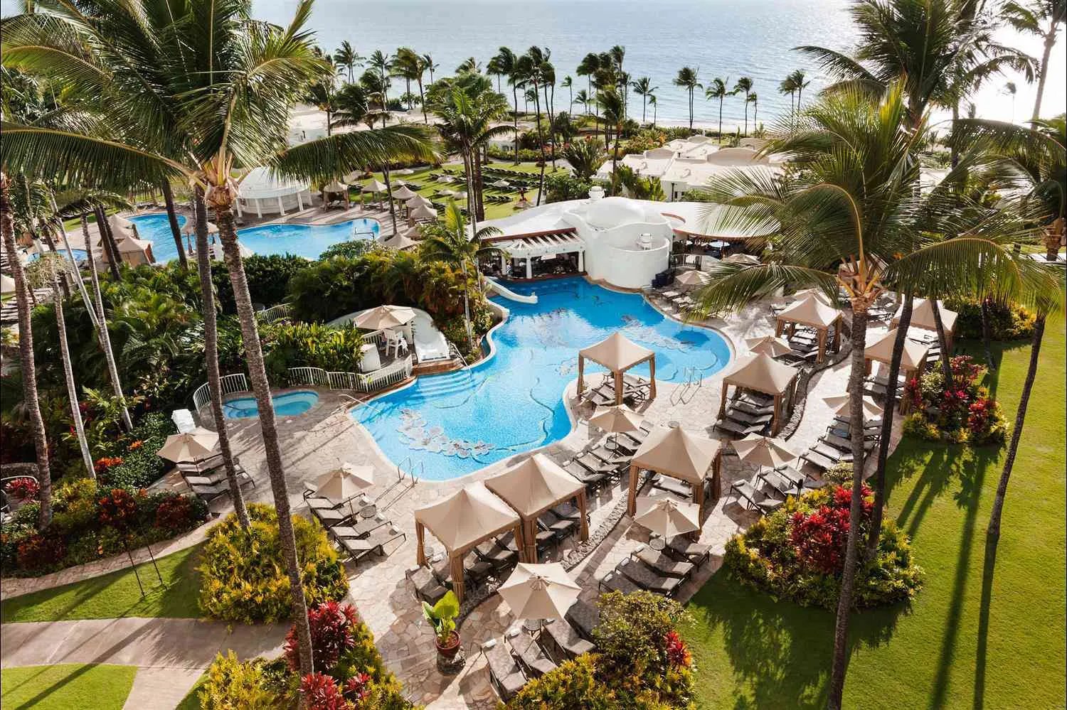 /img/7770-hawaii-island-choices.webp