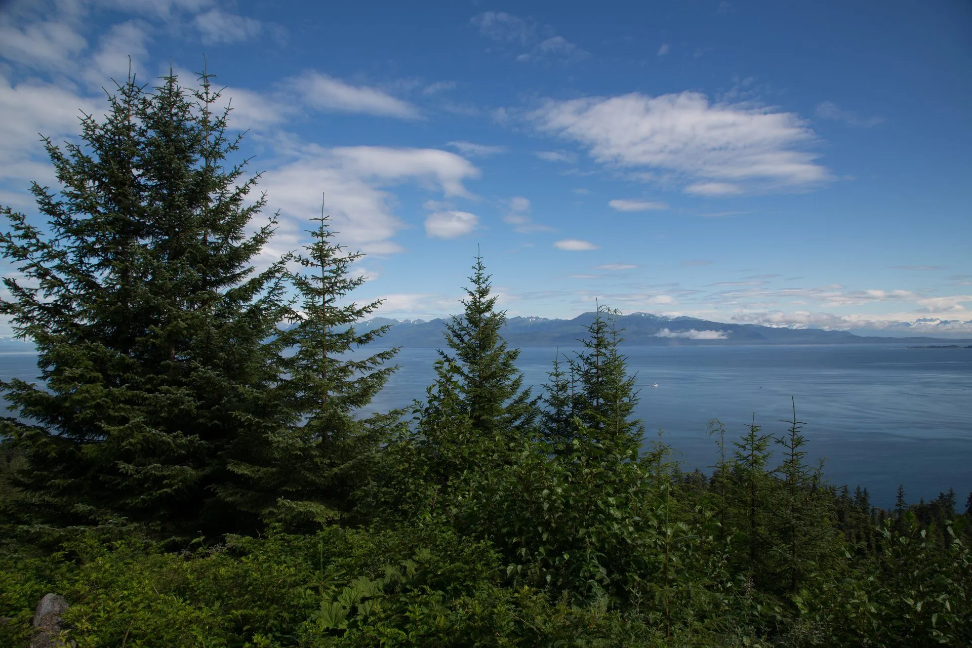 7796 alaska cruise excursions