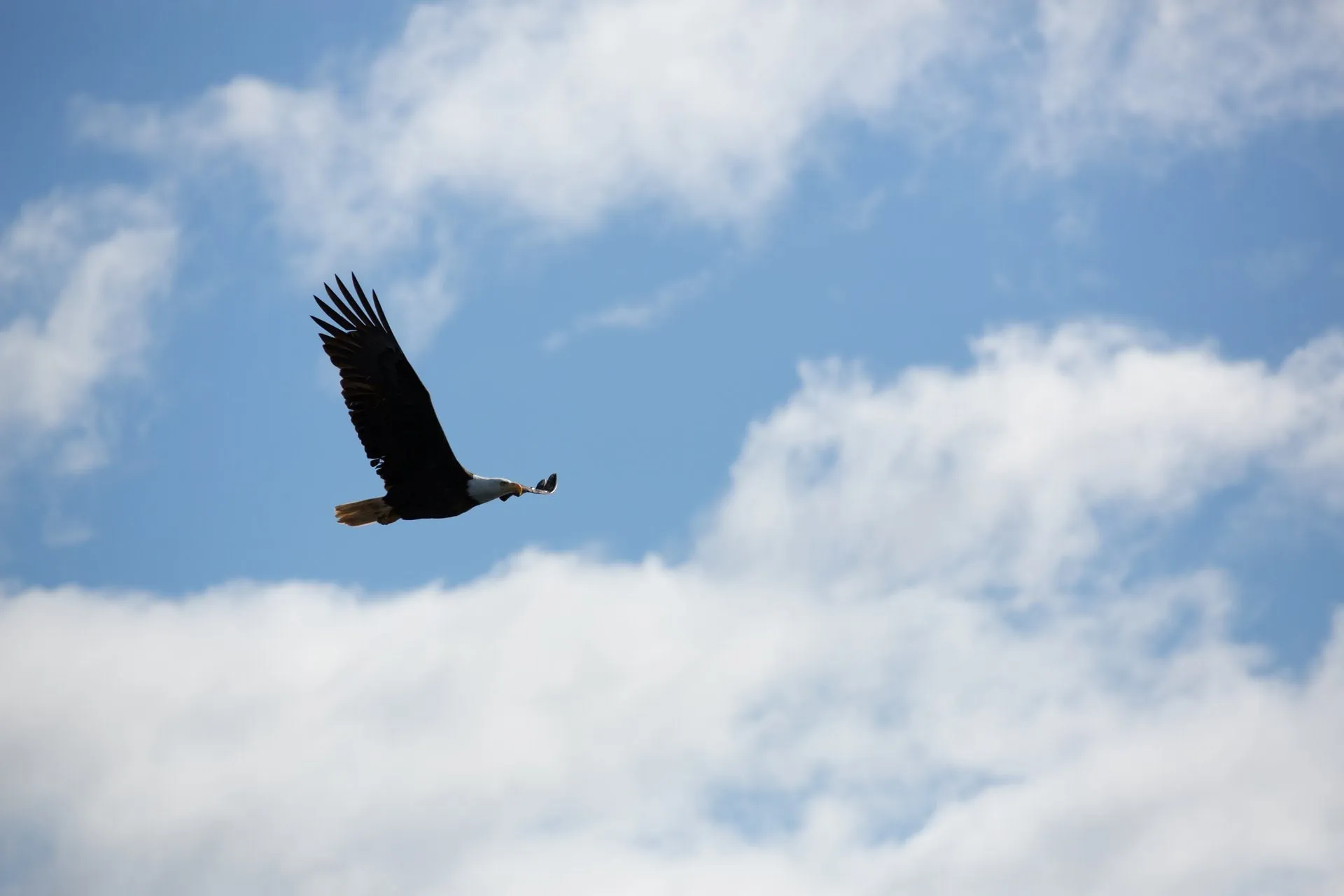 /img/7796-alaska-cruise-packing.webp