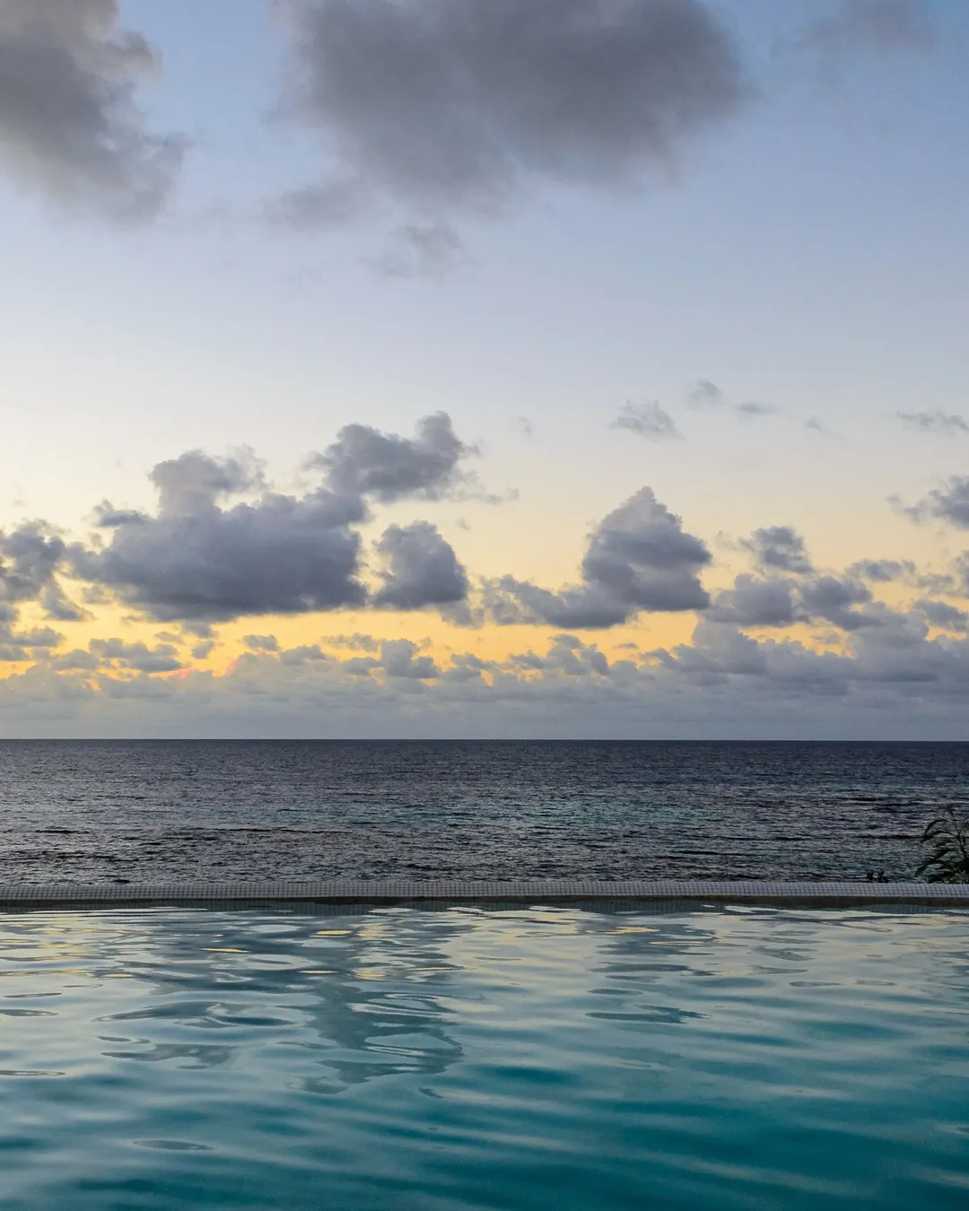 7800 caribbean romantic dinner