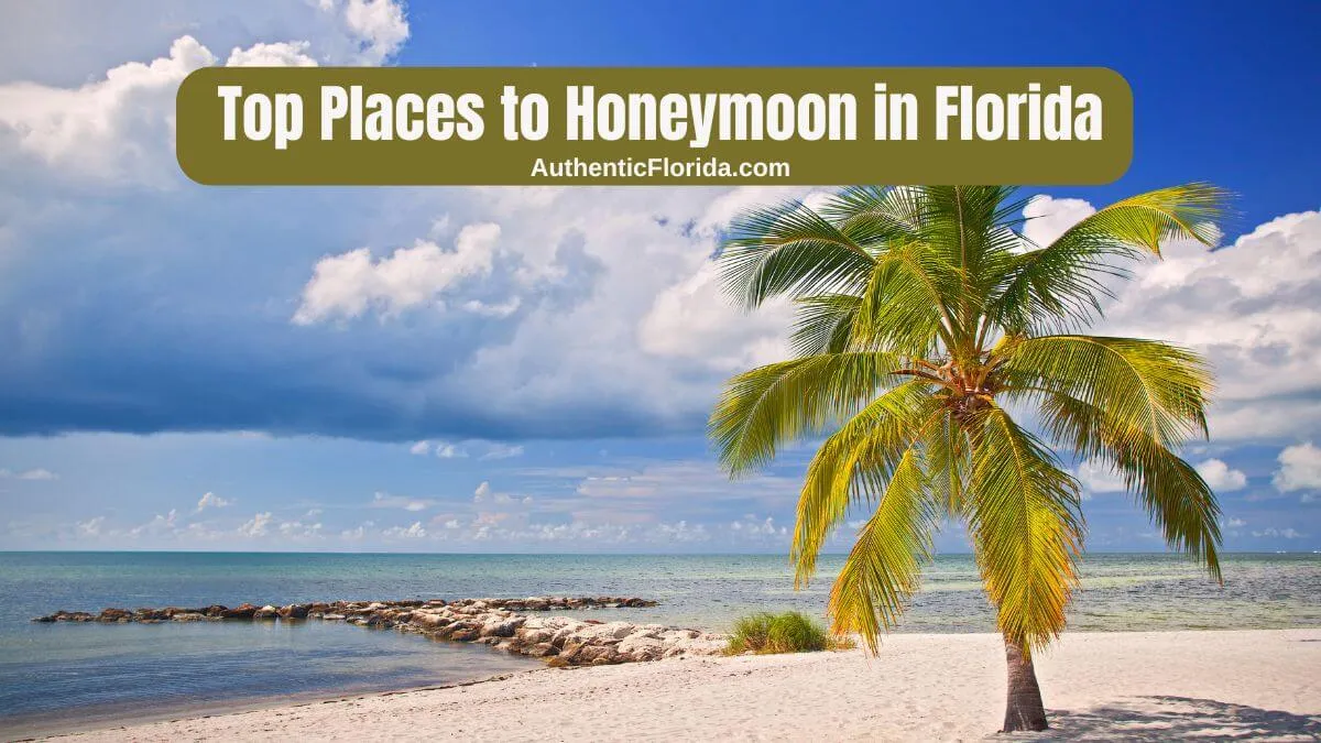7804 key west honeymoon