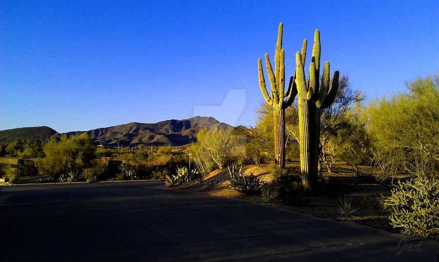 /img/7805-arizona-honeymoon-memories.webp