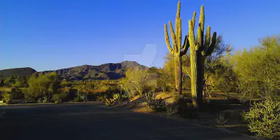 /img/7805-arizona-honeymoon-memories.webp