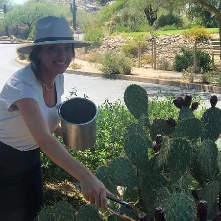 7805 romantic arizona activities