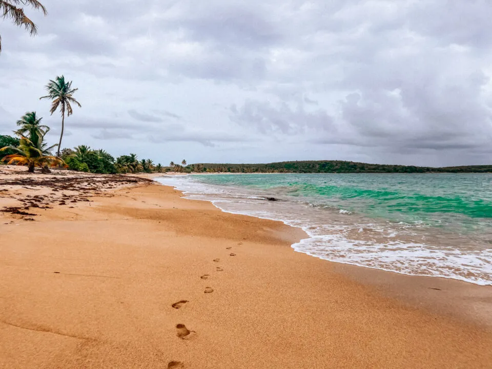 7811 puerto rico boutique hotel