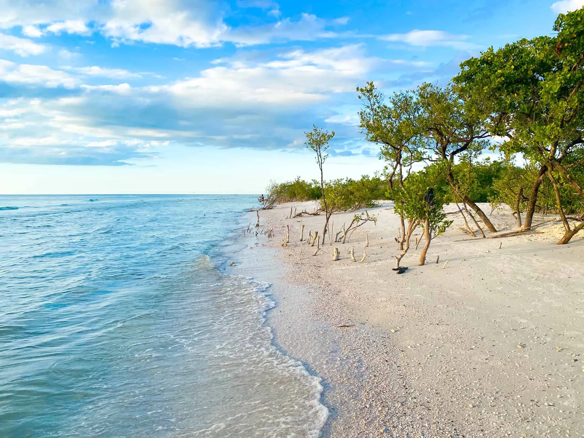 7835 honeymoon beach florida activities