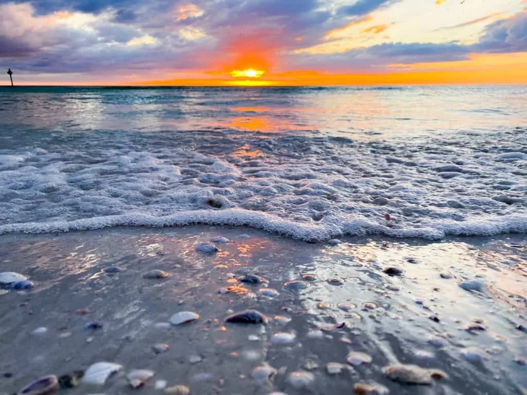 7835 honeymoon beach florida nature trail