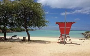 7839 honeymoon beach hickam snorkeling