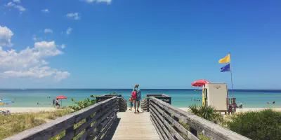 /img/7863-honeymoon-island-wildlife.webp