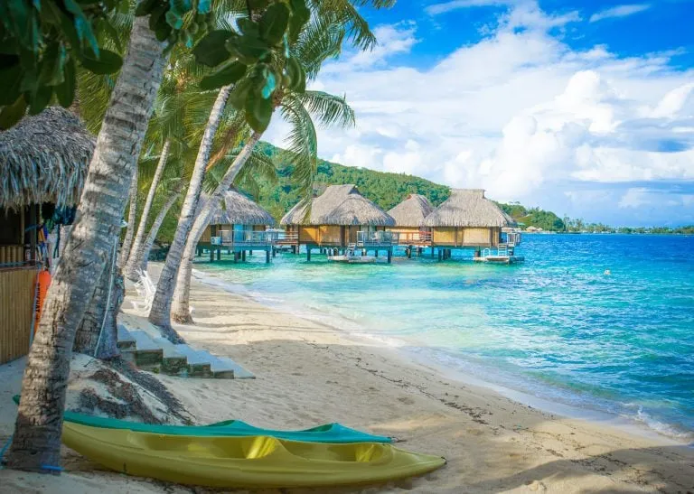 7877 maldives honeymoon