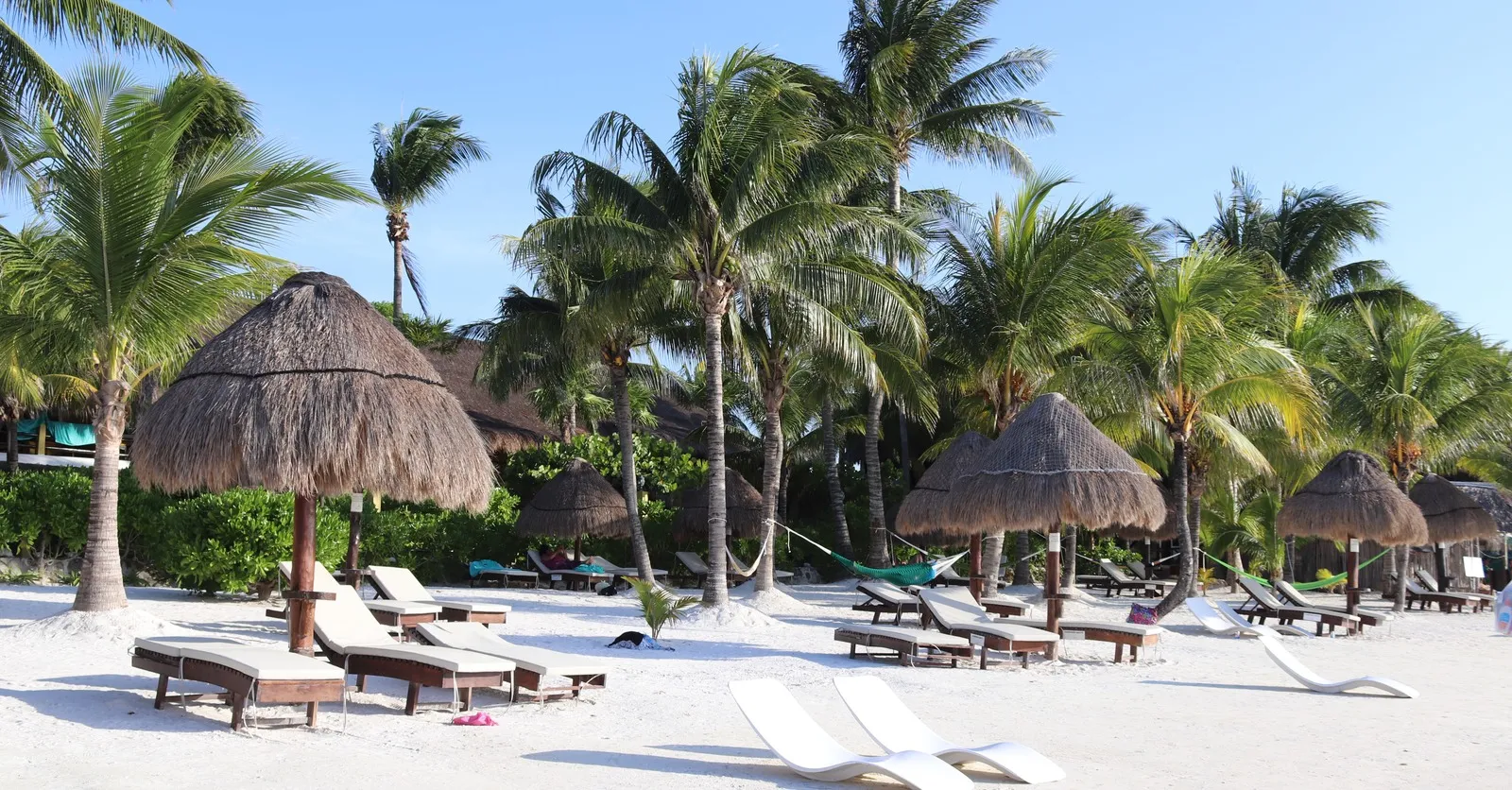 7884 four seasons punta mita honeymoon