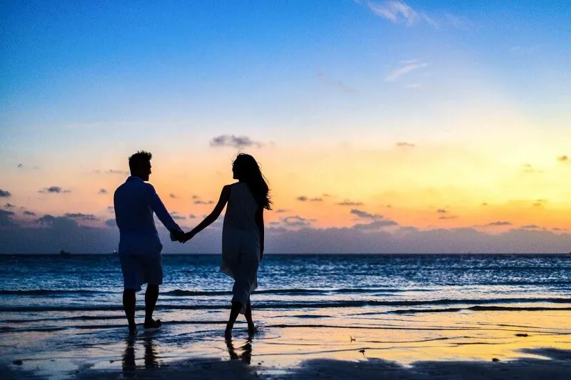 7889 goa honeymoon