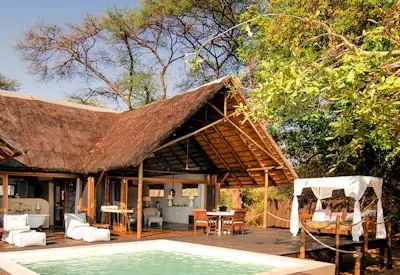 7890 safari zambia