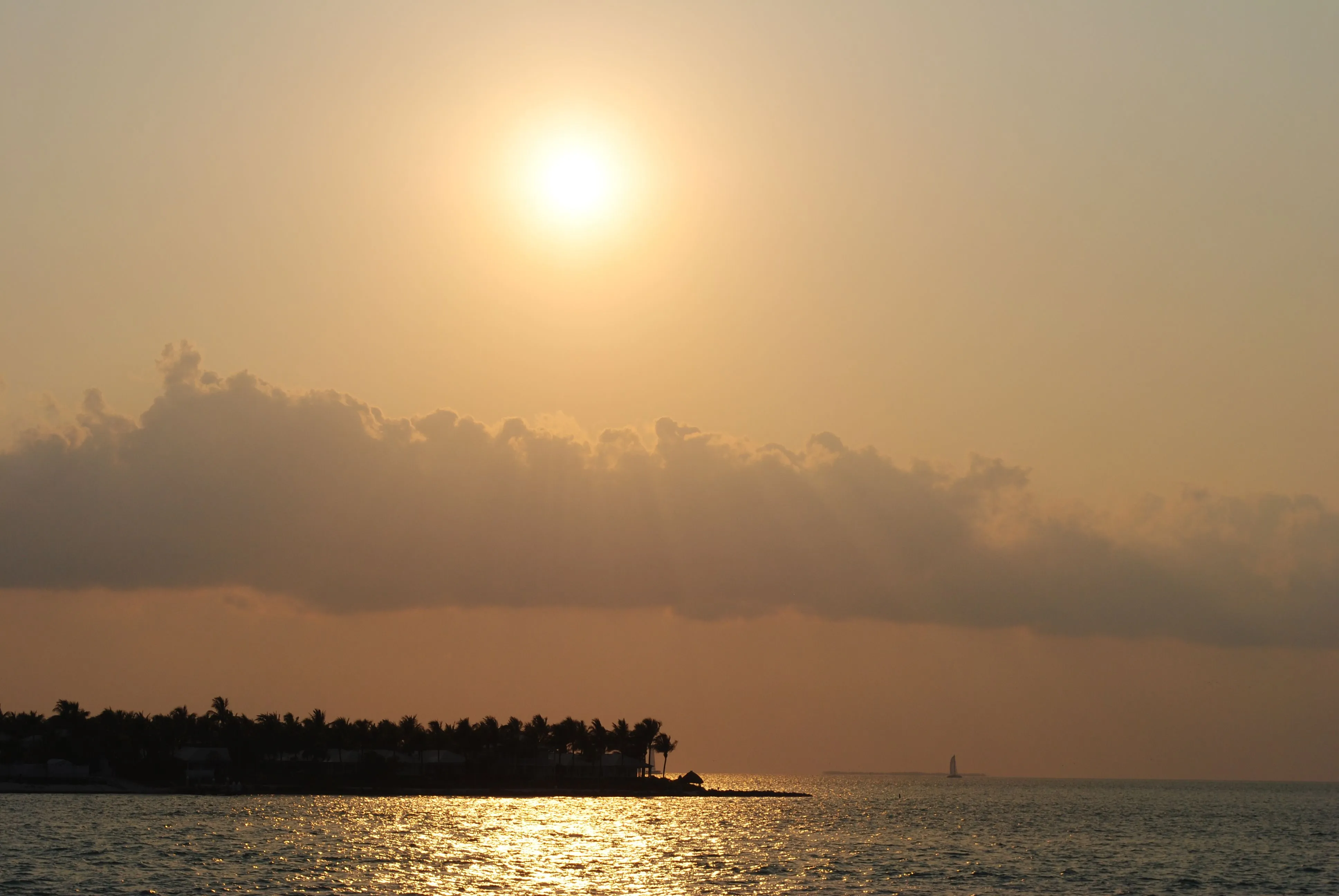 /img/7895-key-west-couple-activities.webp