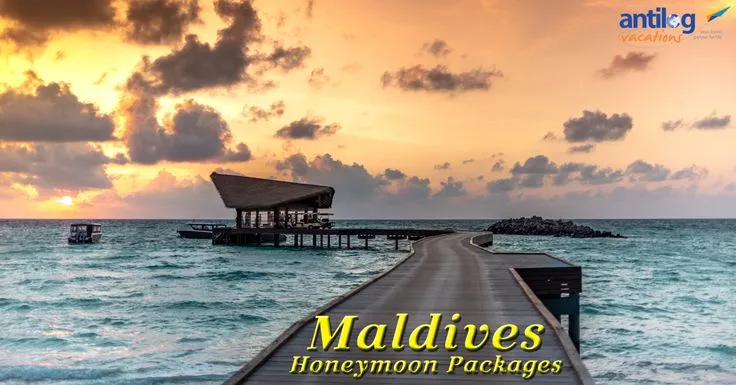 7901 maldives seaplane