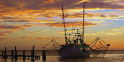 /img/7929-louisiana-honeymoon-activities.webp