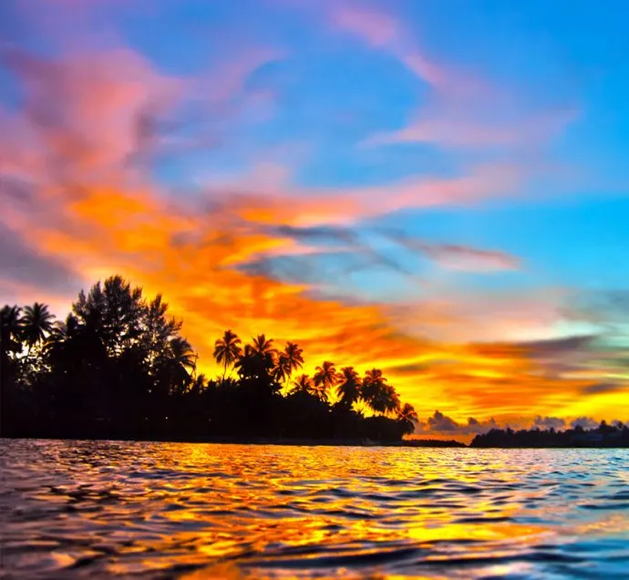 7930 maldives honeymoon