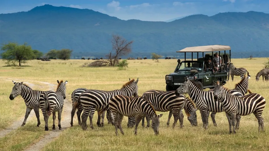 7935 african safari wildlife