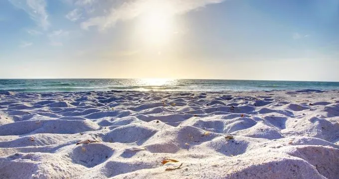 7950 romantic beach florida