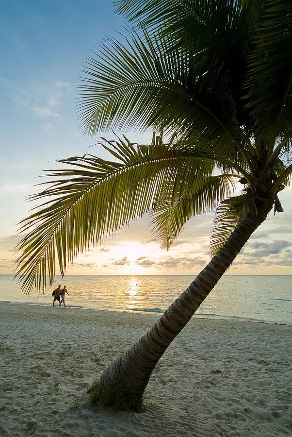 7951 maldives beach