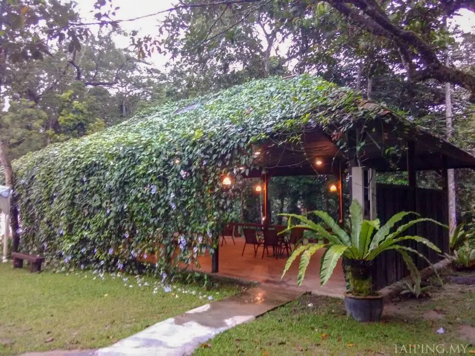 7960 couples spa treatment