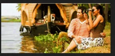 7977 kerala honeymoon couple dining