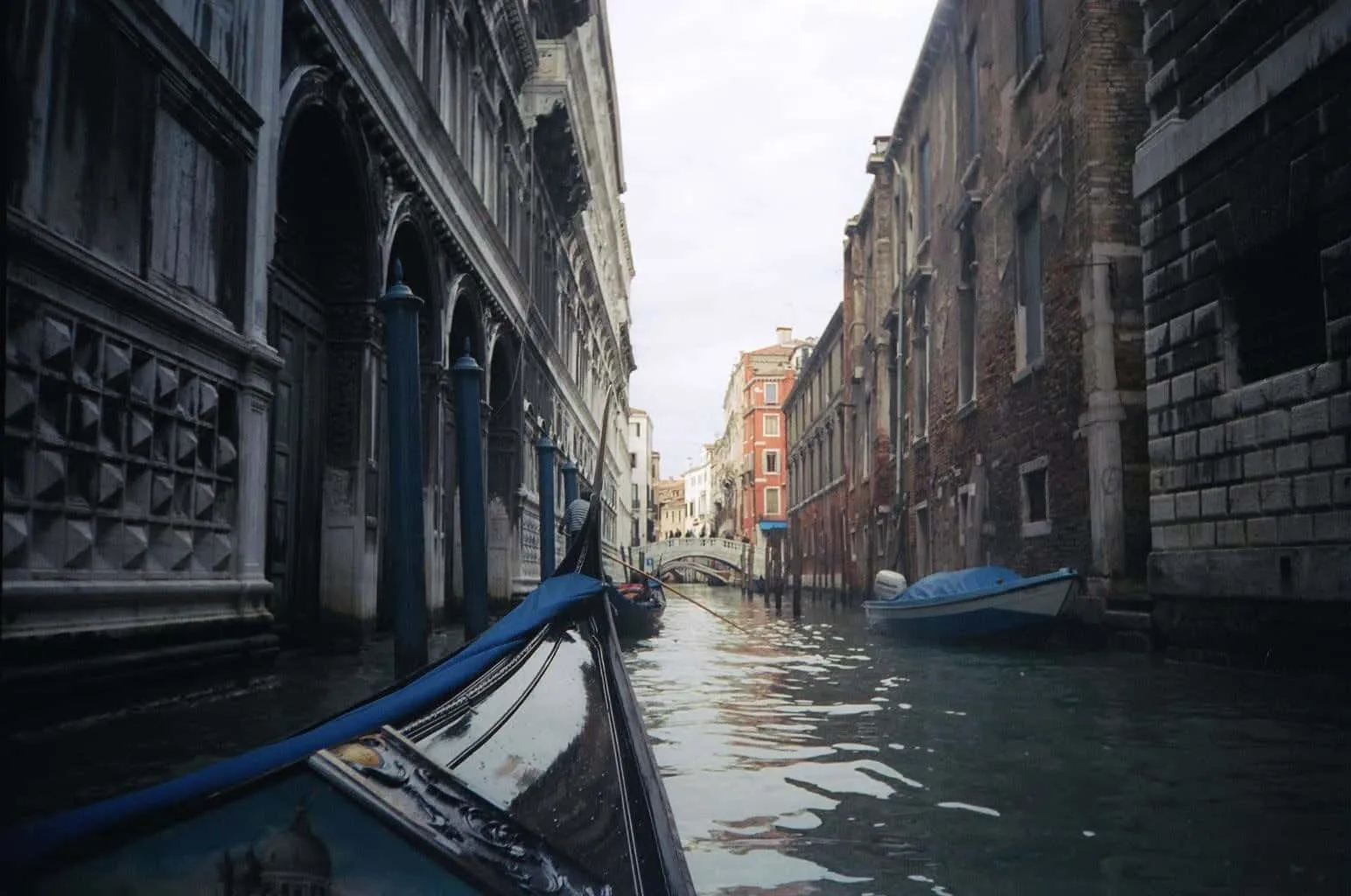 7993 venice winter honeymoon