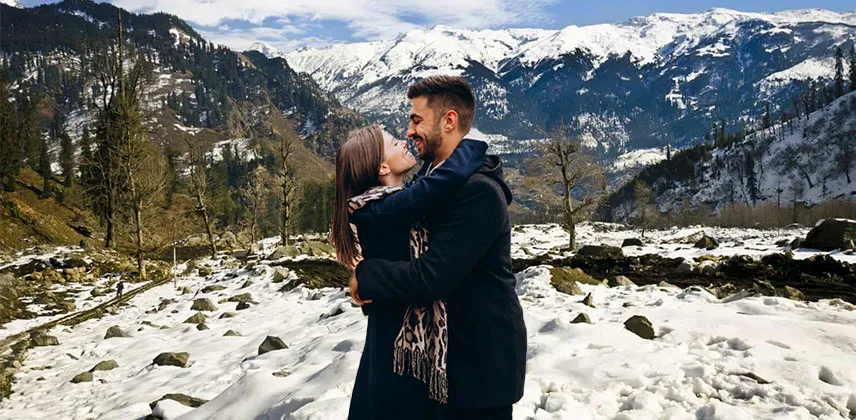 7994 shimla manali honeymoon package hotel