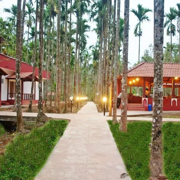 7999 coorg honeymoon scenery
