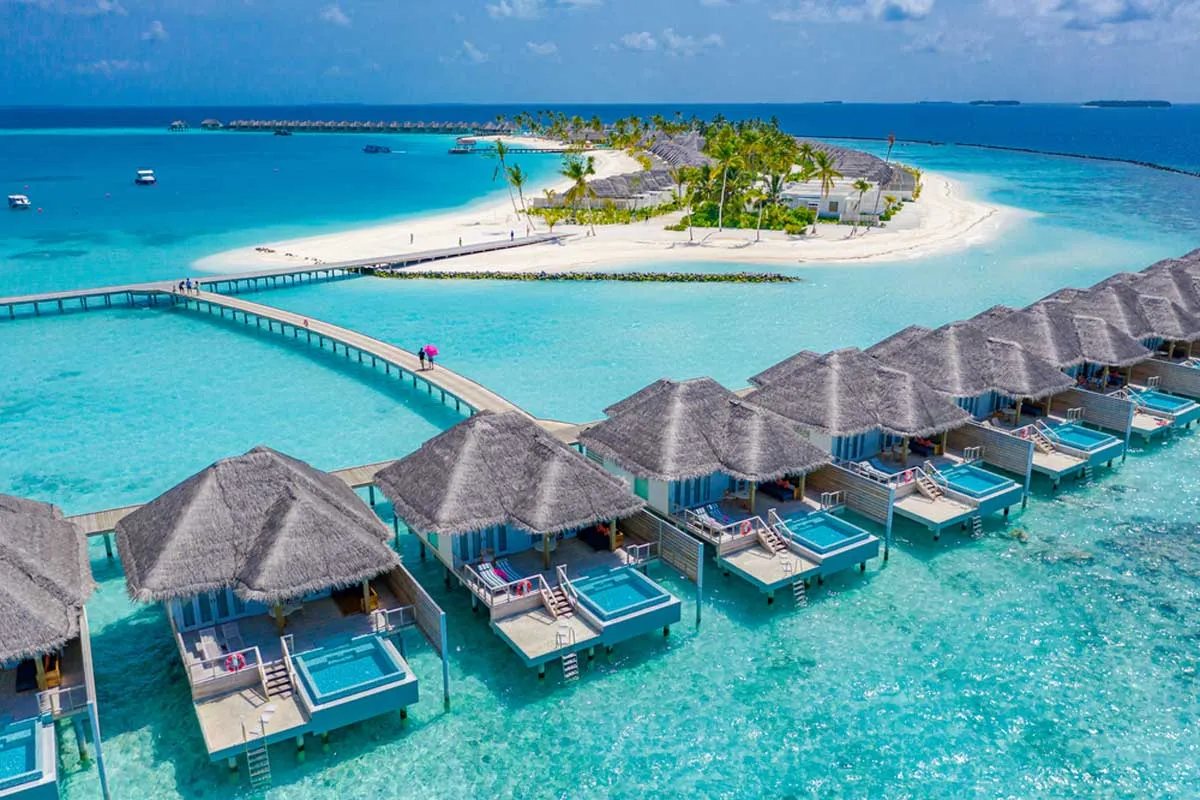 8023 maldives honeymoon couple dining