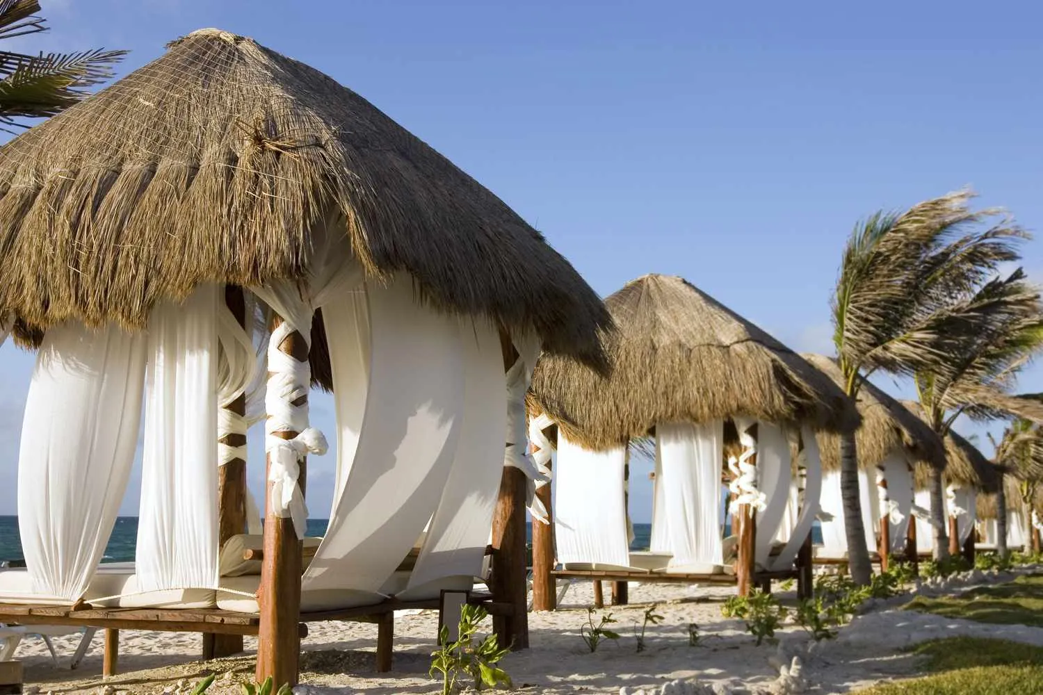 /img/8027-mexico-honeymoon-activities.webp