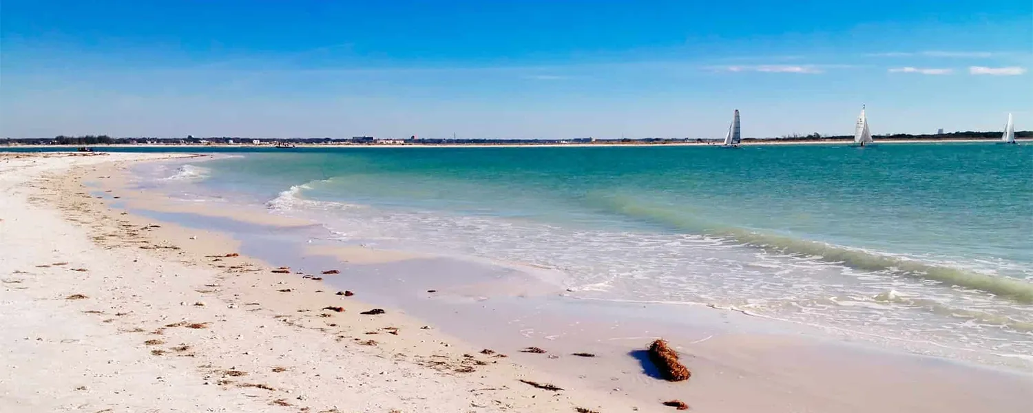 8032 honeymoon island beach activities