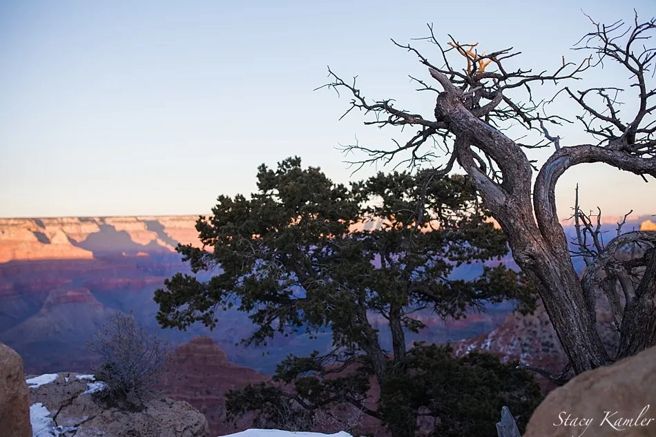 8046 grand canyon stargazing