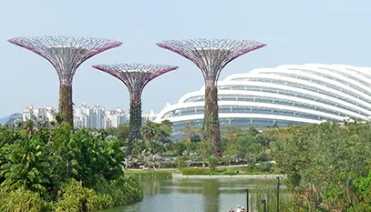 /img/8052-singapore-couple-travel-tips.webp