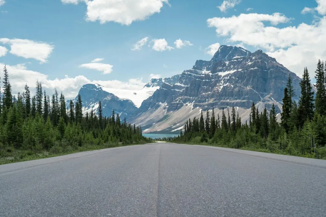 8064 niagara honeymoon