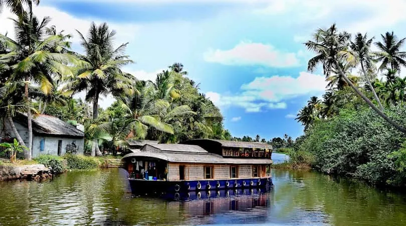 8081 kumarakom romantic dinner