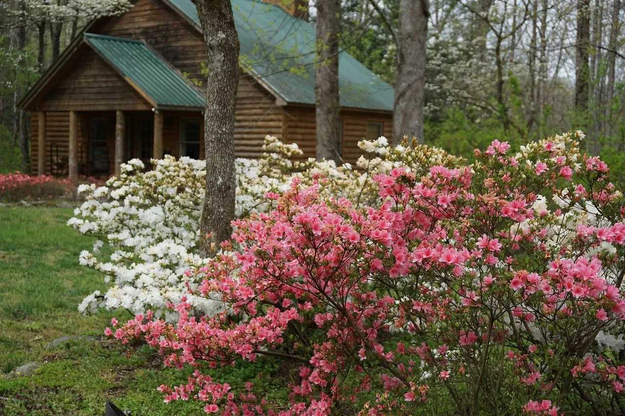 8091 pigeon forge cabin view
