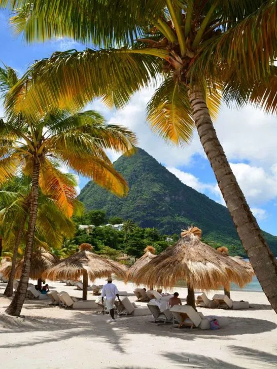 8094 caribbean honeymoon adventure
