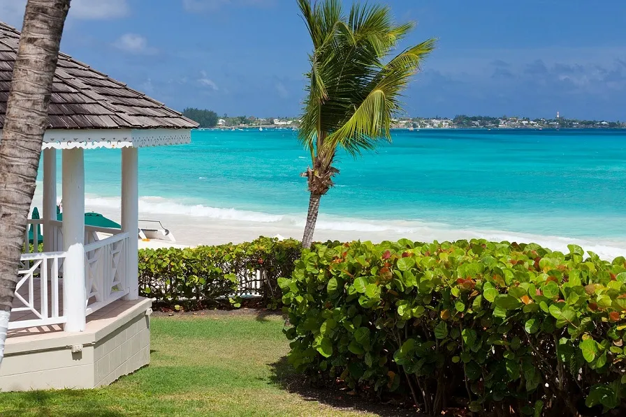 8094 caribbean honeymoon couple